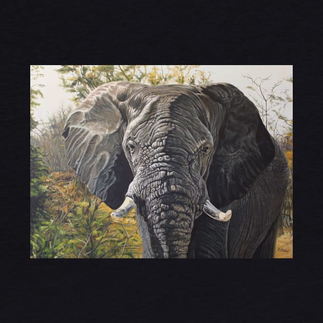 Elephant by Blasco
